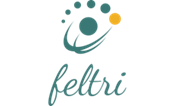 feltrinstitute.co.za