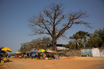 pfunzo